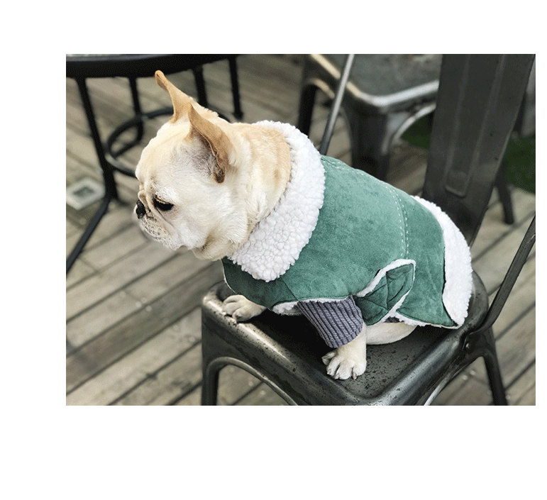 犬服 もこもこ襟付き防寒コート