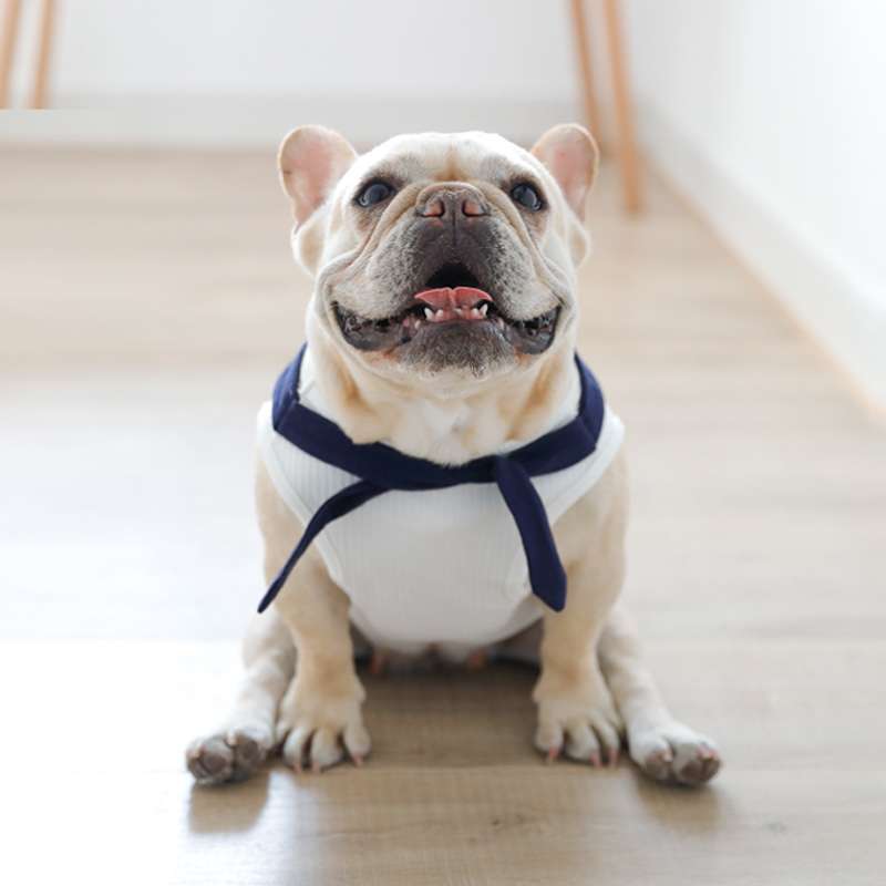 犬服 マリン風おしゃれベスト