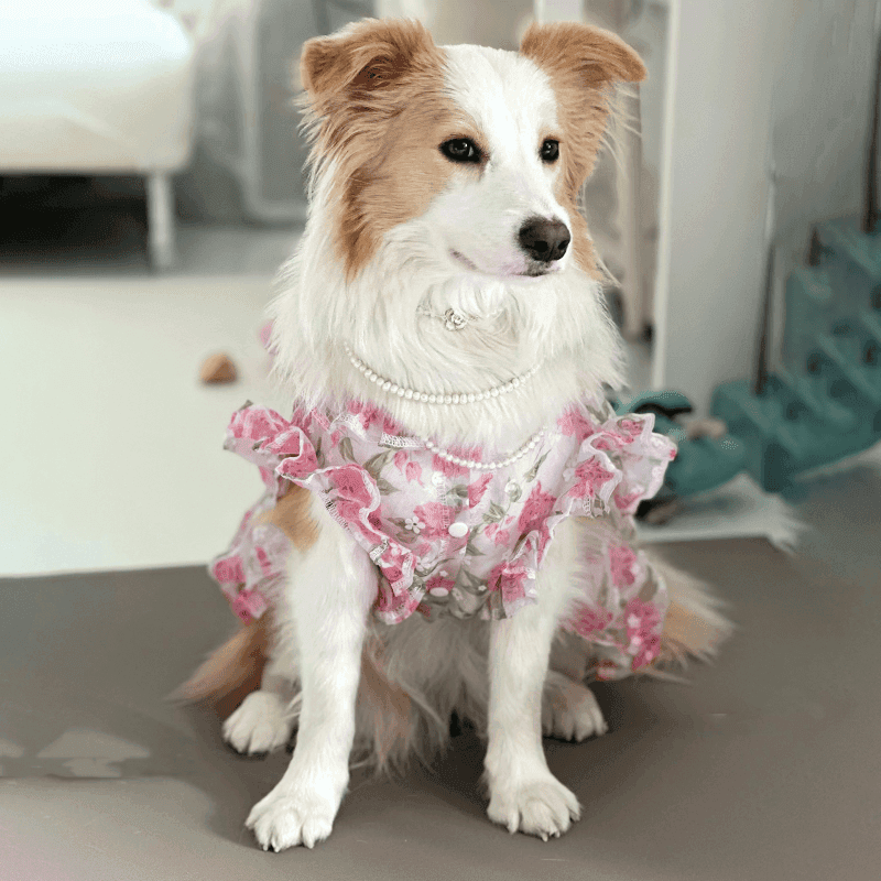 犬服 大型犬向け花柄ワンピース