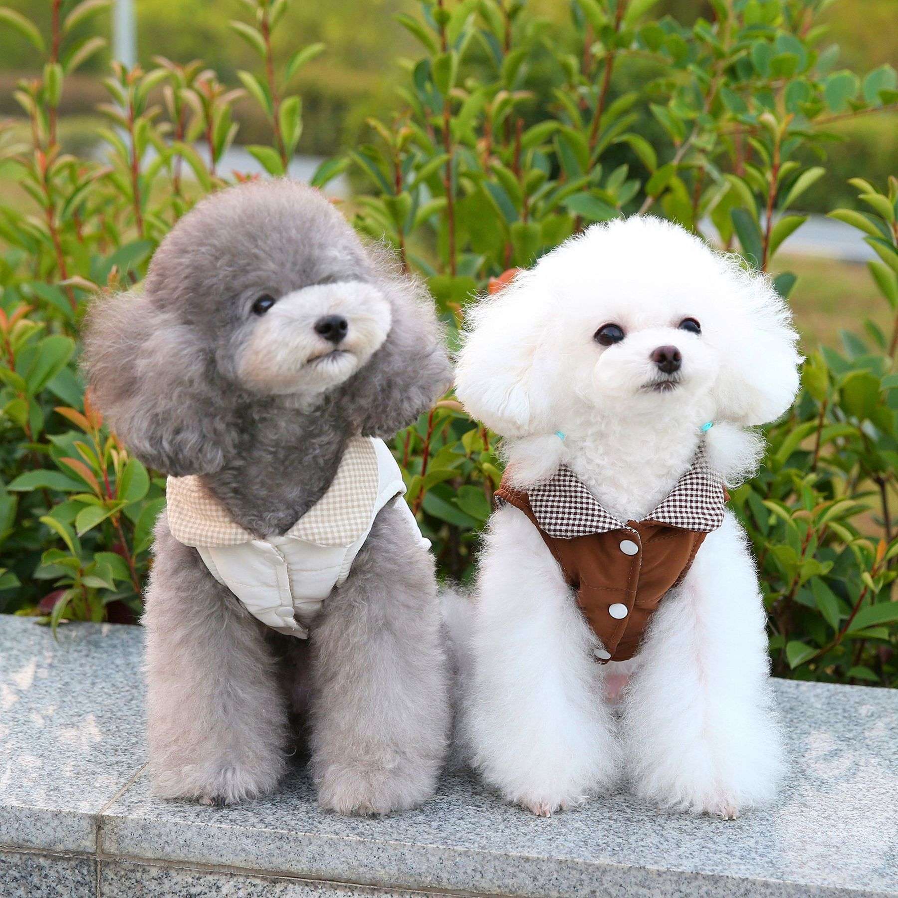 犬服 お散歩服アウターベスト