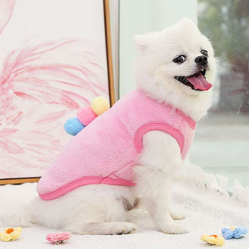 犬服 フルーツモチーフ かわいいコスチューム