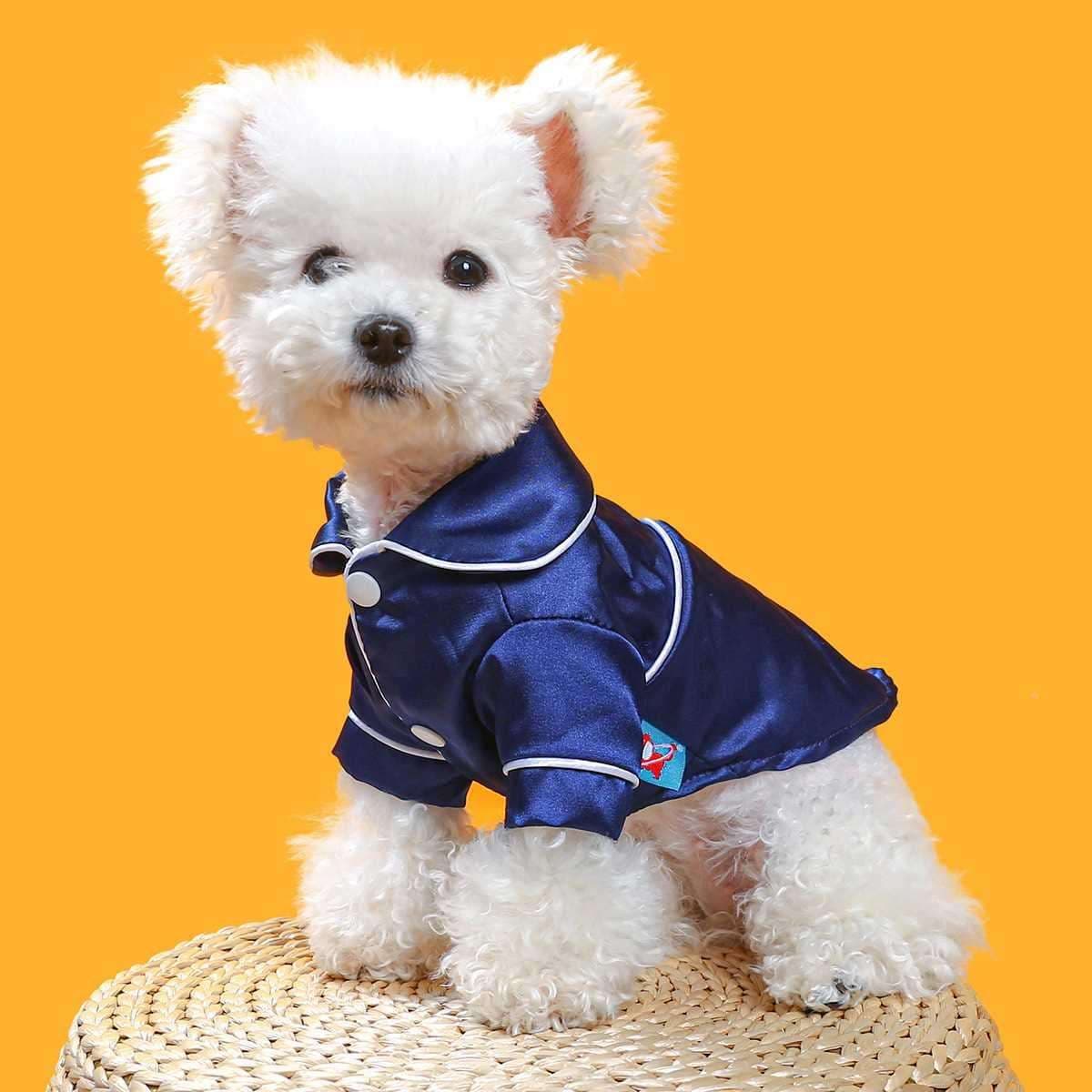 犬服 わんちゃんのお洒落パジャマ
