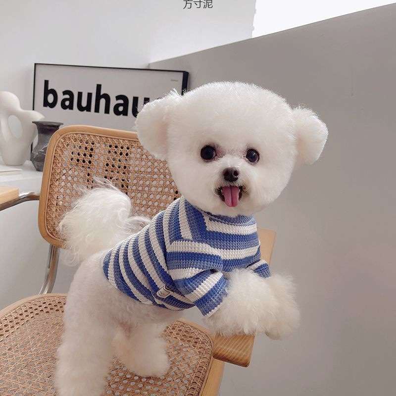 犬服 ふわもこ小型犬用ボーダーニットセーター
