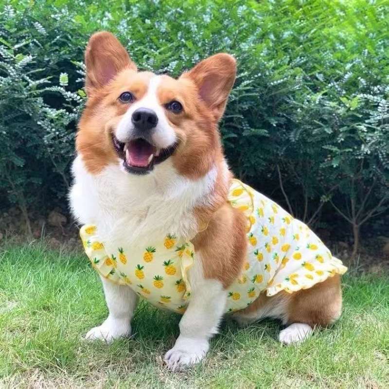 犬服 パイナップル柄フリル付きワンピース