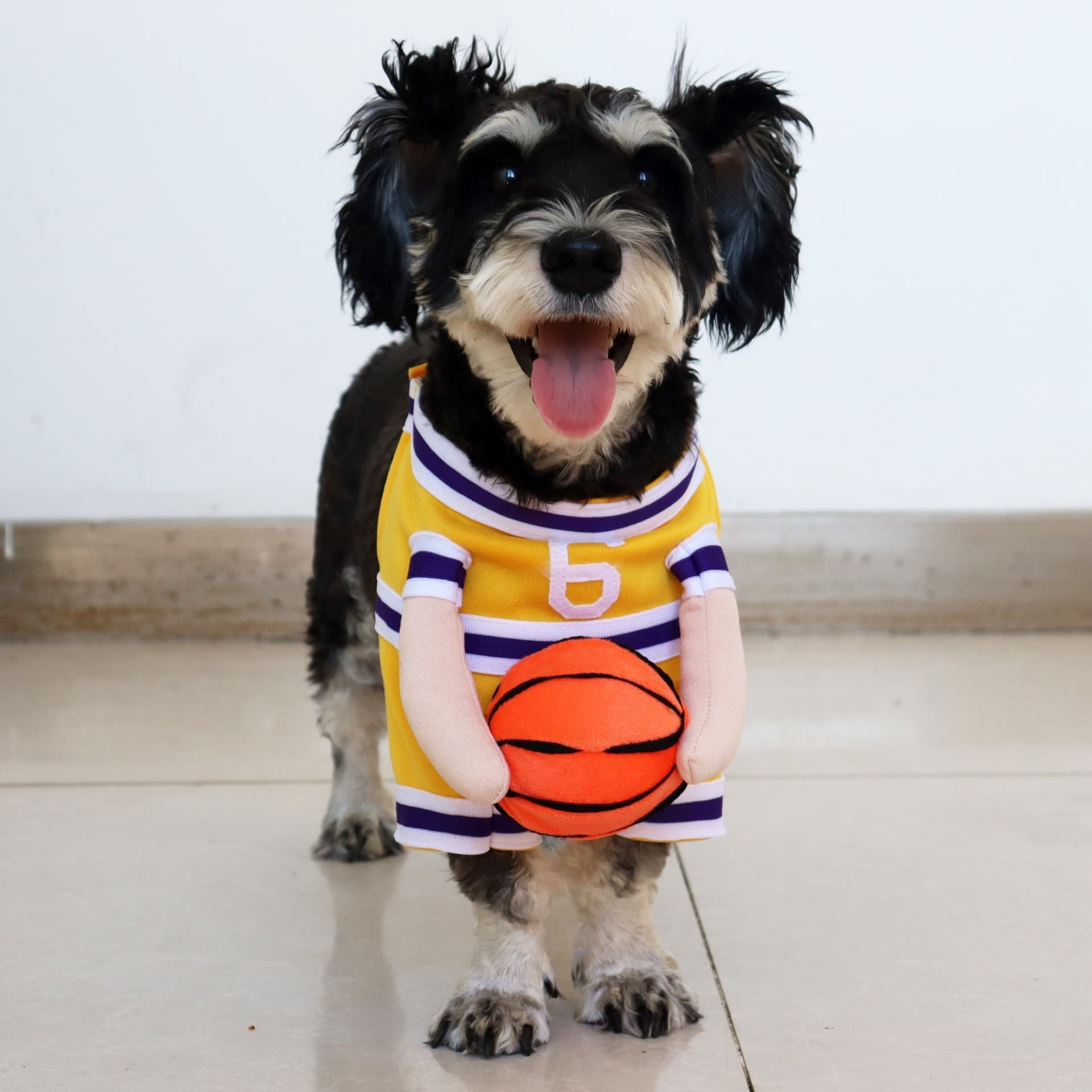 犬服 バスケットボール選手風なりきりつなぎ