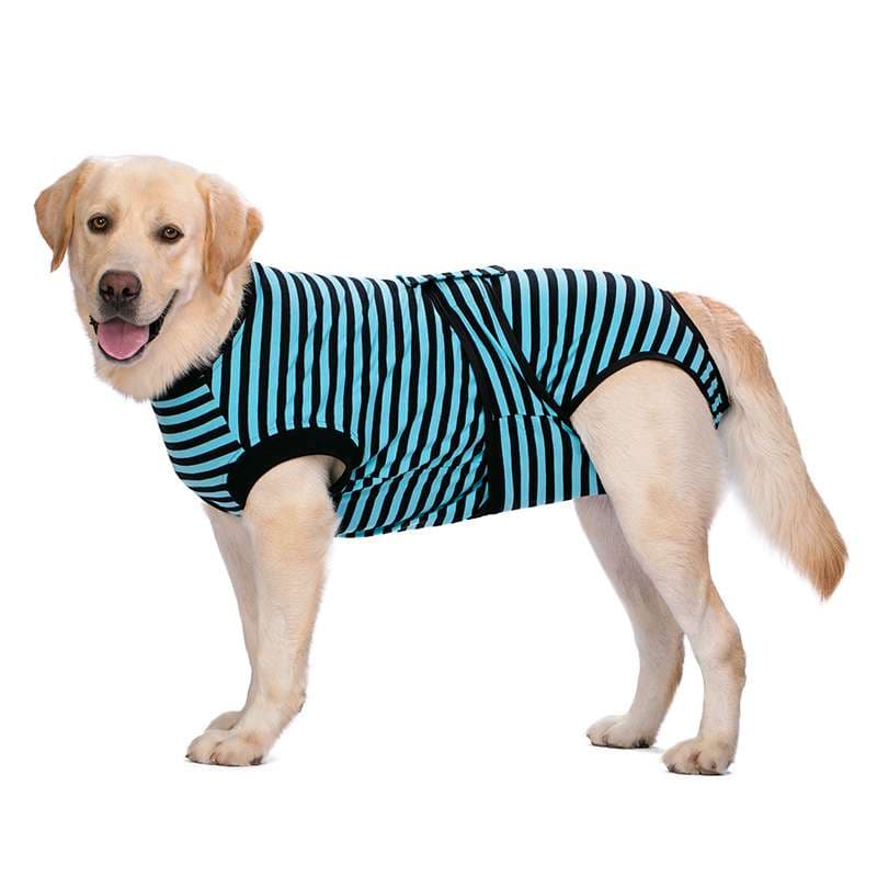犬服 大型犬用ボーダー柄サマーベスト