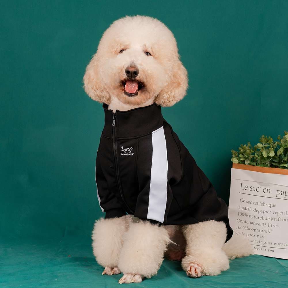 犬服 アウター 小型〜大型犬用スポーティージャンパー