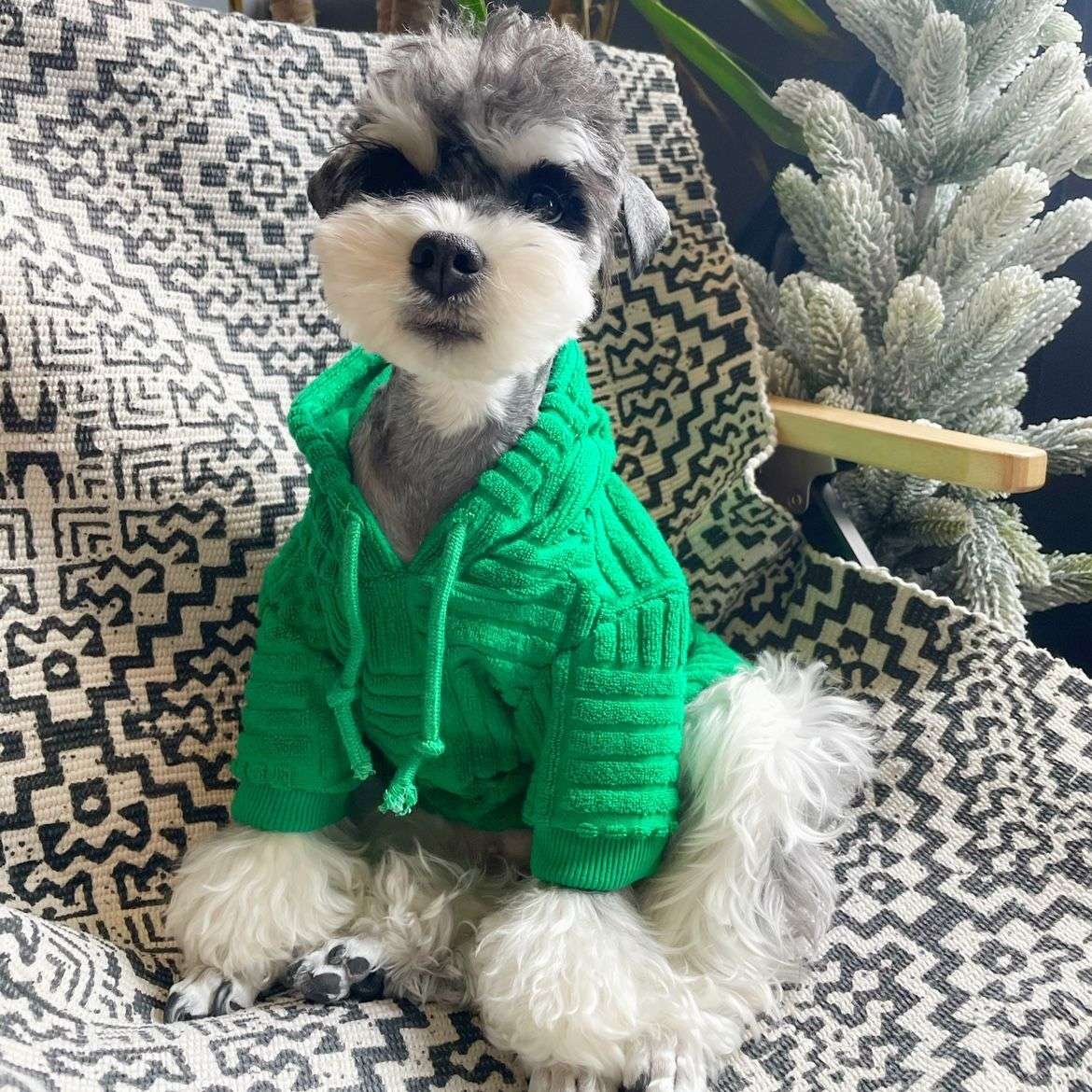 モコモコ素材のセーター型犬服