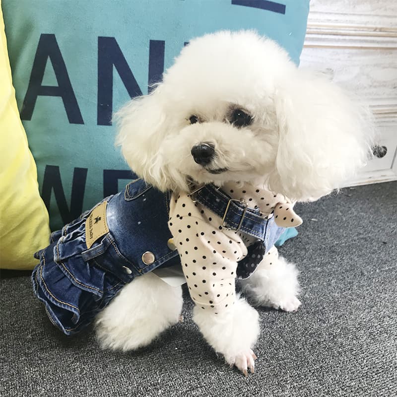 水玉襟付きデニムワンピース風四足犬服
