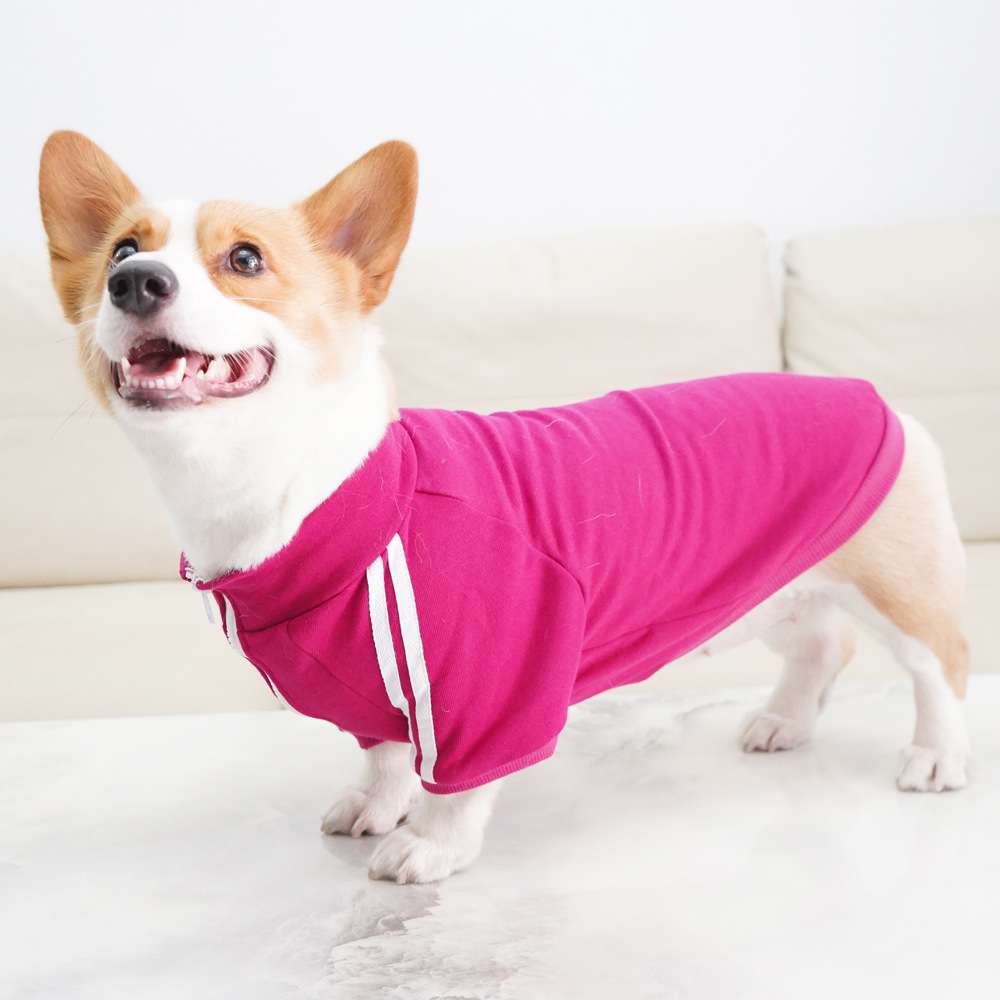 犬服 スポーティーな中型犬用ジャージ