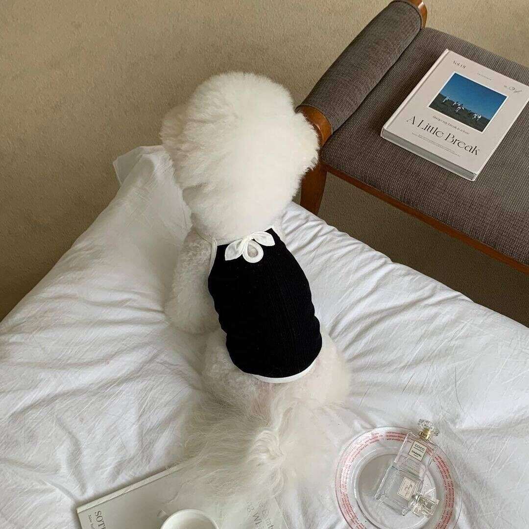 犬服 わんちゃんのリボン付きニットベスト