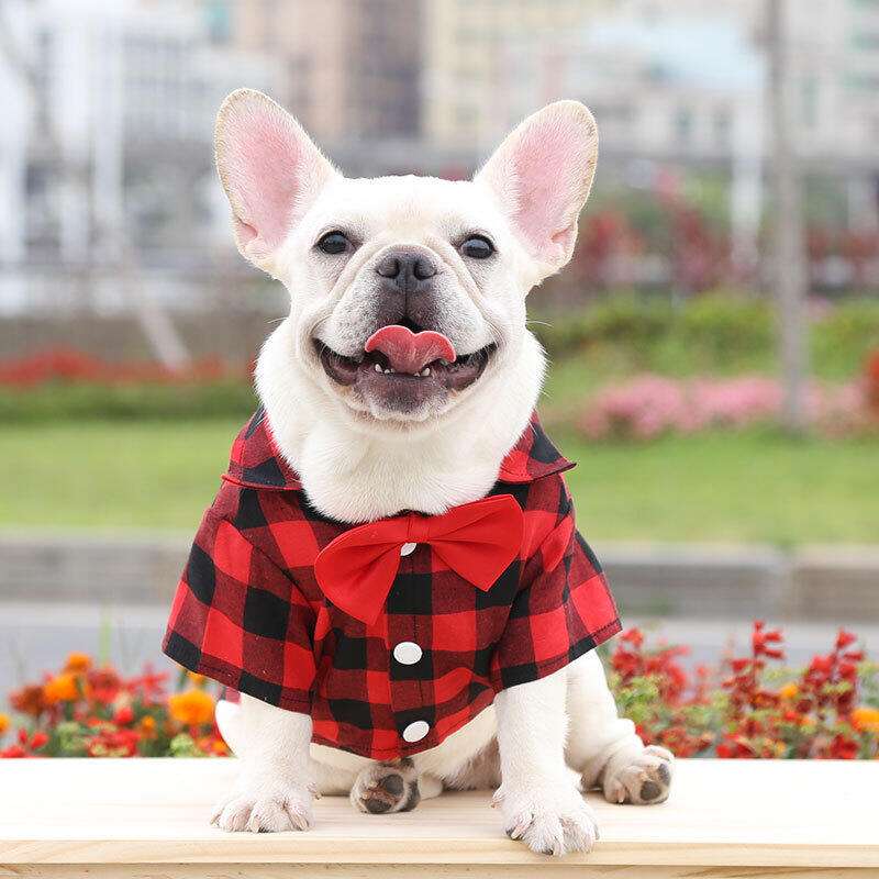 犬服 チェック柄おしゃれボウタイシャツ
