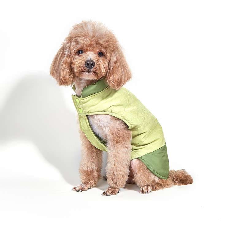 犬服 ふわもこワンちゃんのお散歩ベスト