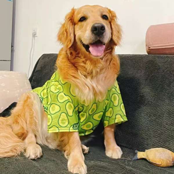 犬服 アボカド柄の犬用Tシャツ