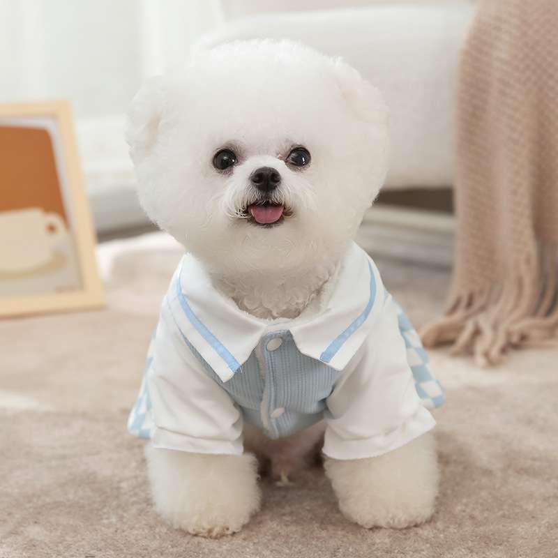 犬服 アリスのお茶会風 ワンピース