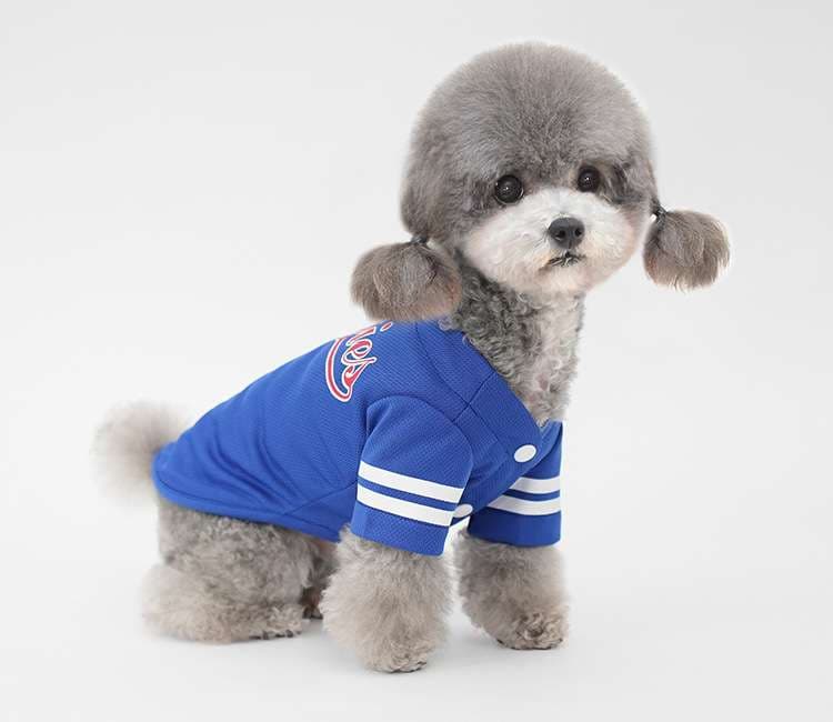 犬服 小型犬用スポーツウェア