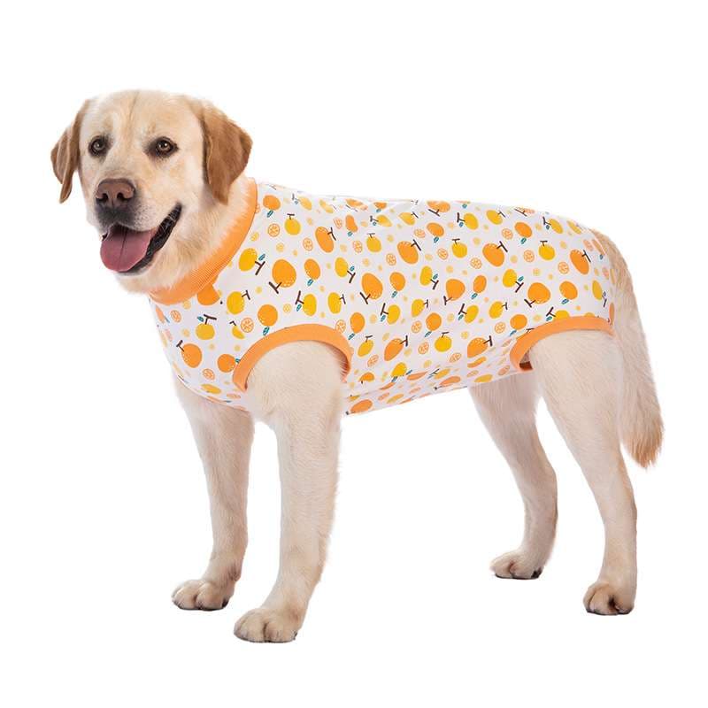 犬服 季節を楽しむ大型犬用フルカバーウェア