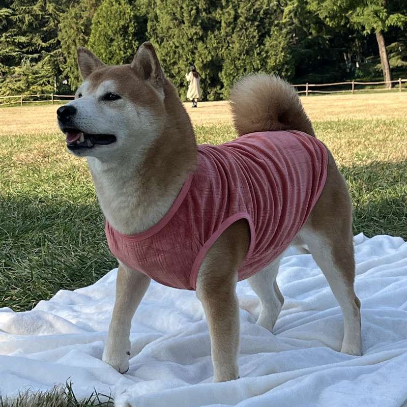 犬服 柔らか素材の犬用タンクトップ