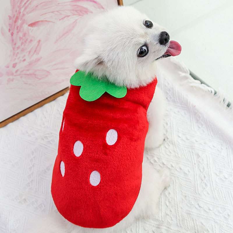 犬服 フルーツモチーフ かわいいコスチューム