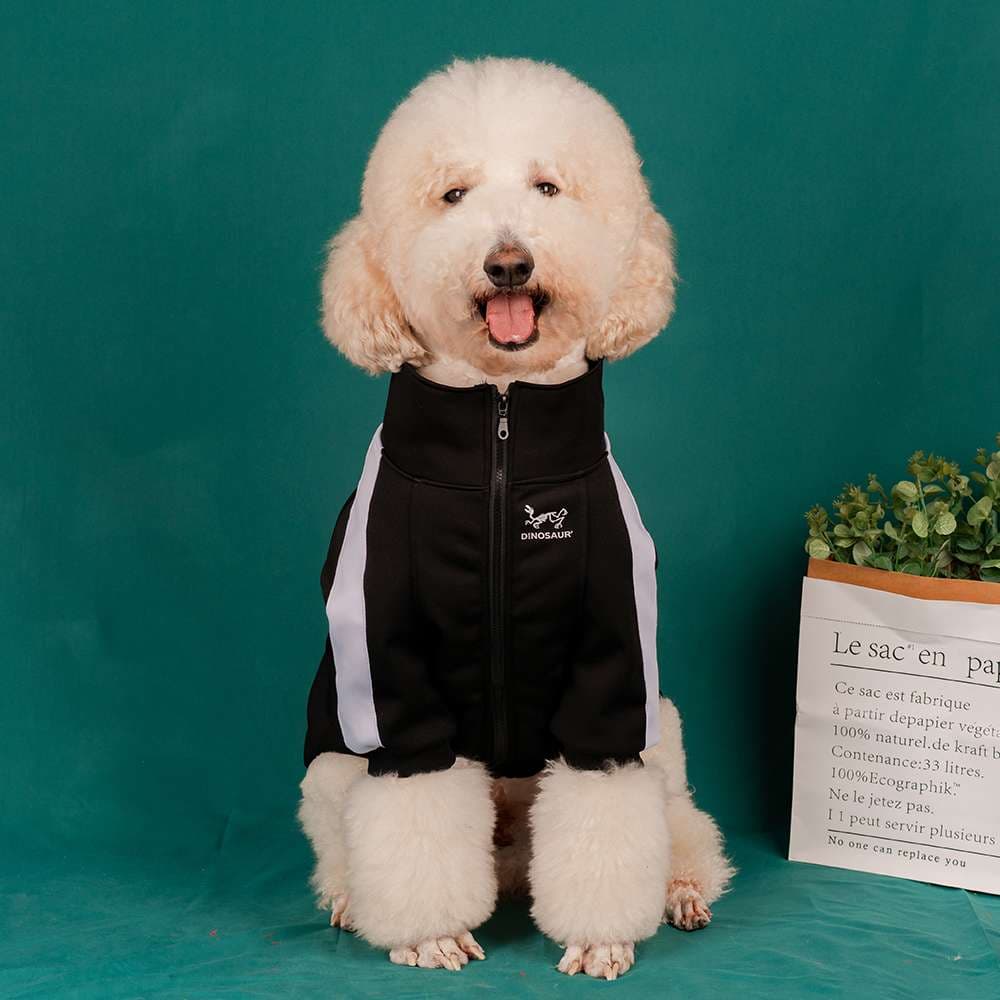犬服 アウター 小型〜大型犬用スポーティージャンパー