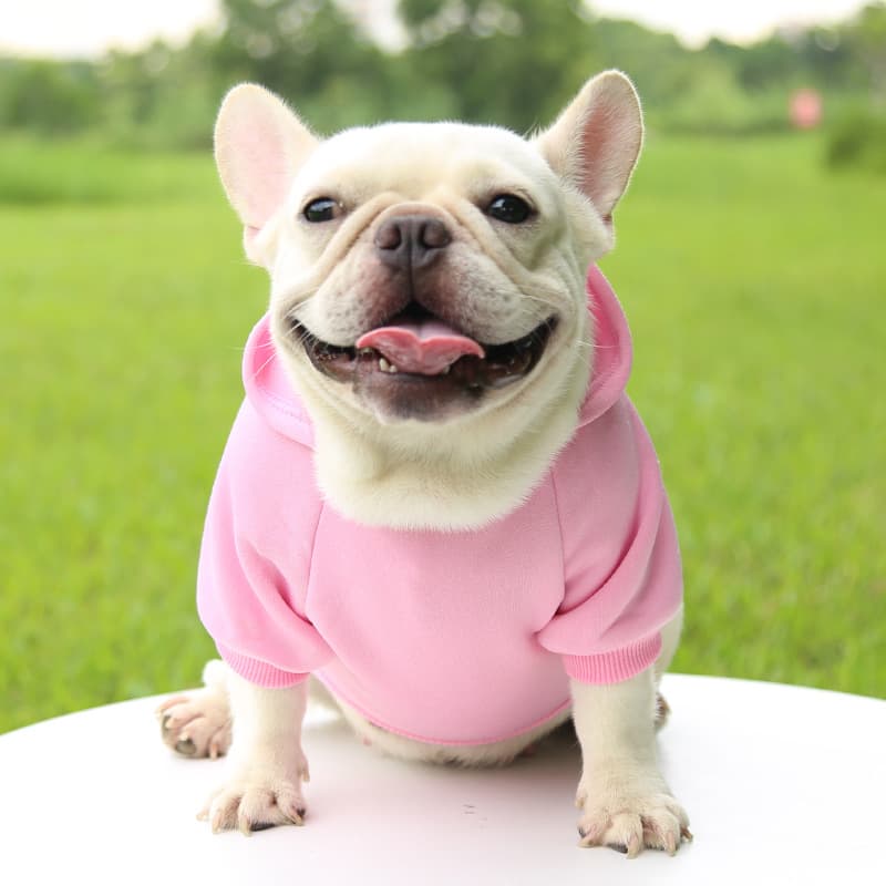 犬服 ベーシックポケット付き裏起毛パーカー