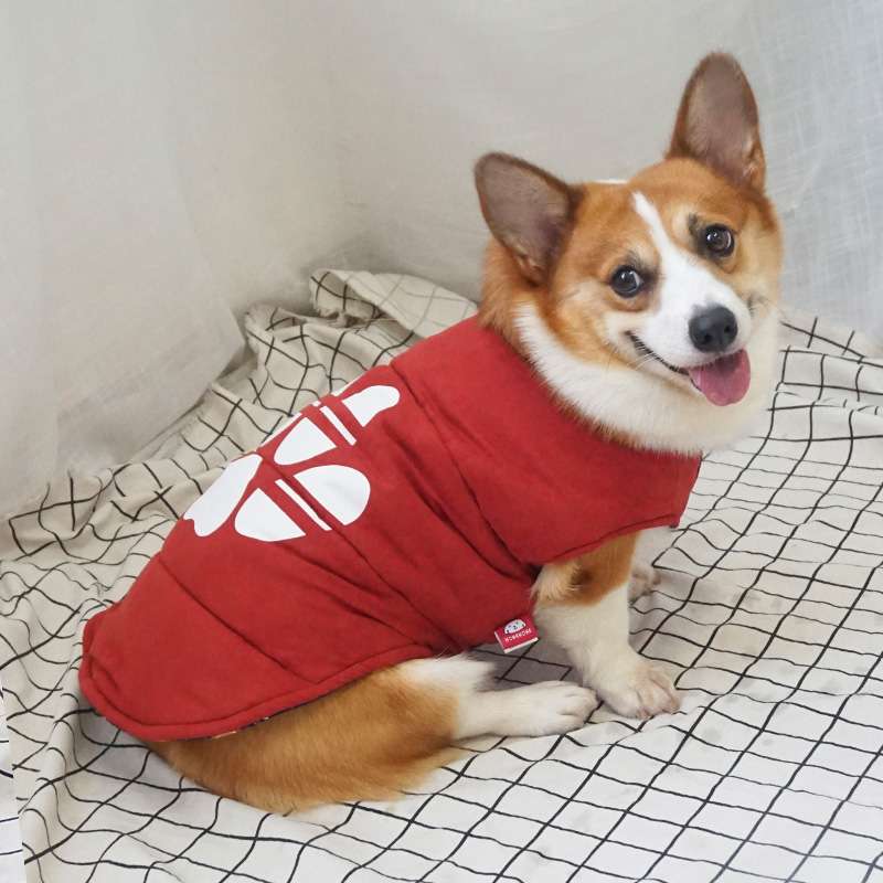 犬服 中型犬用パウプリント保温ベスト
