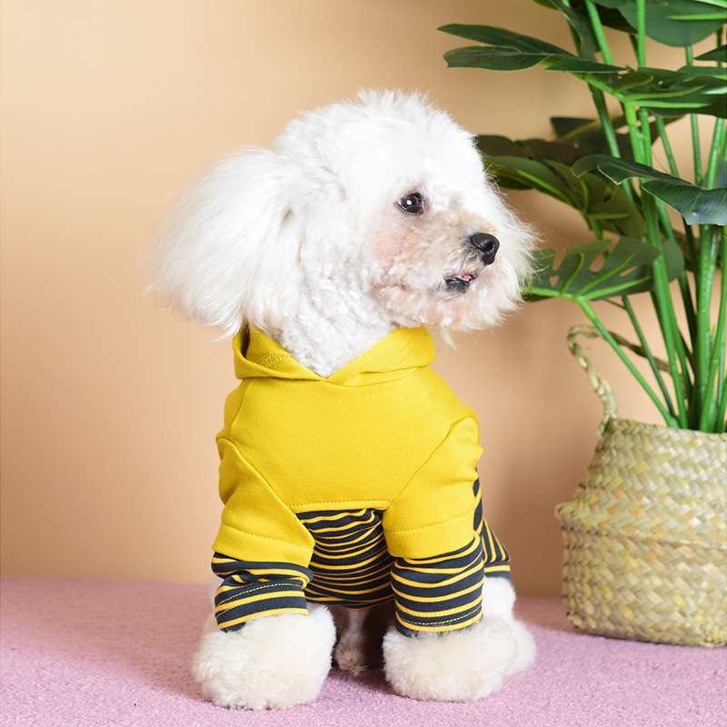 犬服 ふわもこプードル用ボーダーパーカー