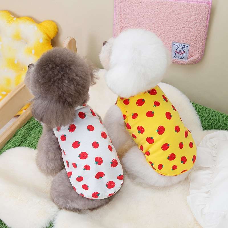 犬服 いちごプリントの可愛いタンクトップ