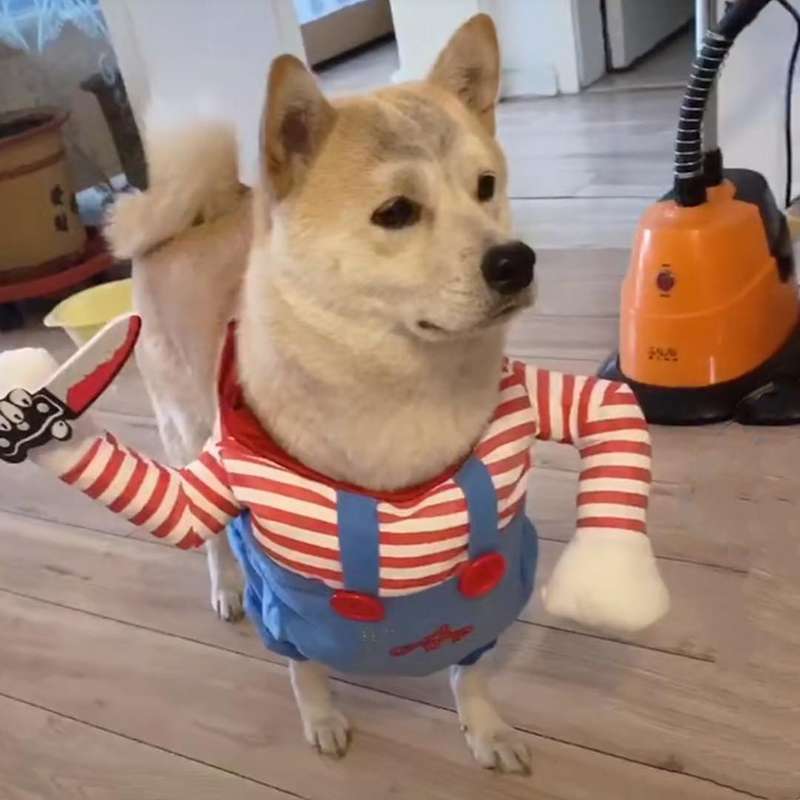犬服 チャッキチャッキー風ペット仮装コスチューム