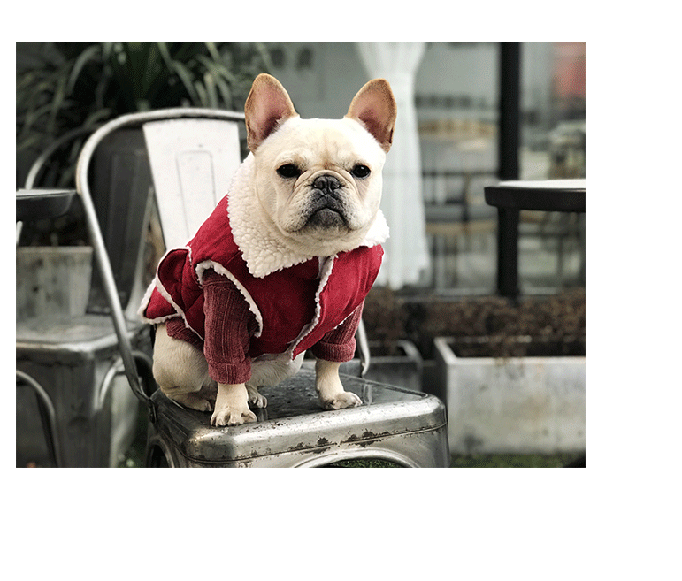 犬服 もこもこ襟付き防寒コート