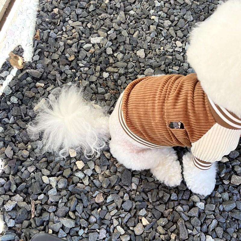 犬服 アウター 小型犬ニットスタジャン