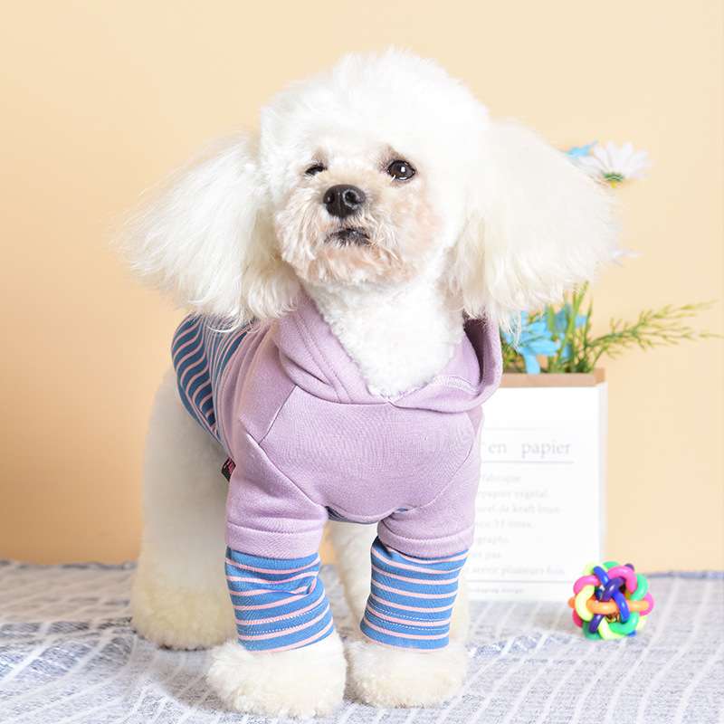 犬服 ふわもこプードル用ボーダーパーカー