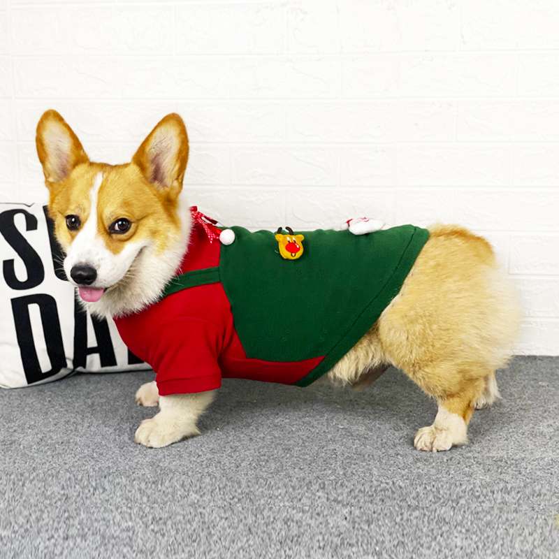 コーギー用クリスマス犬服
