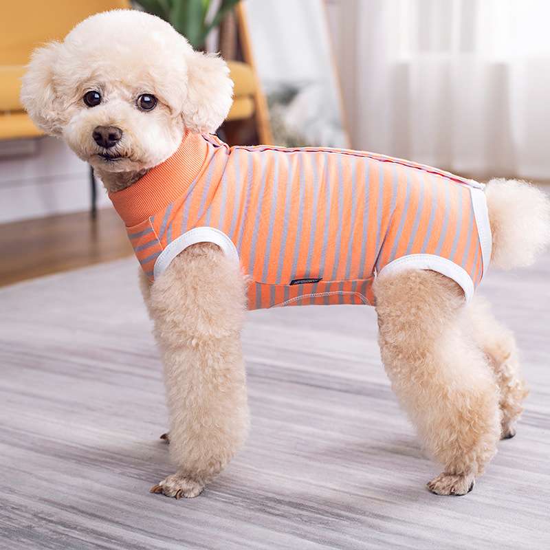 犬服 ふわもこ小型犬用ボーダーTシャツ