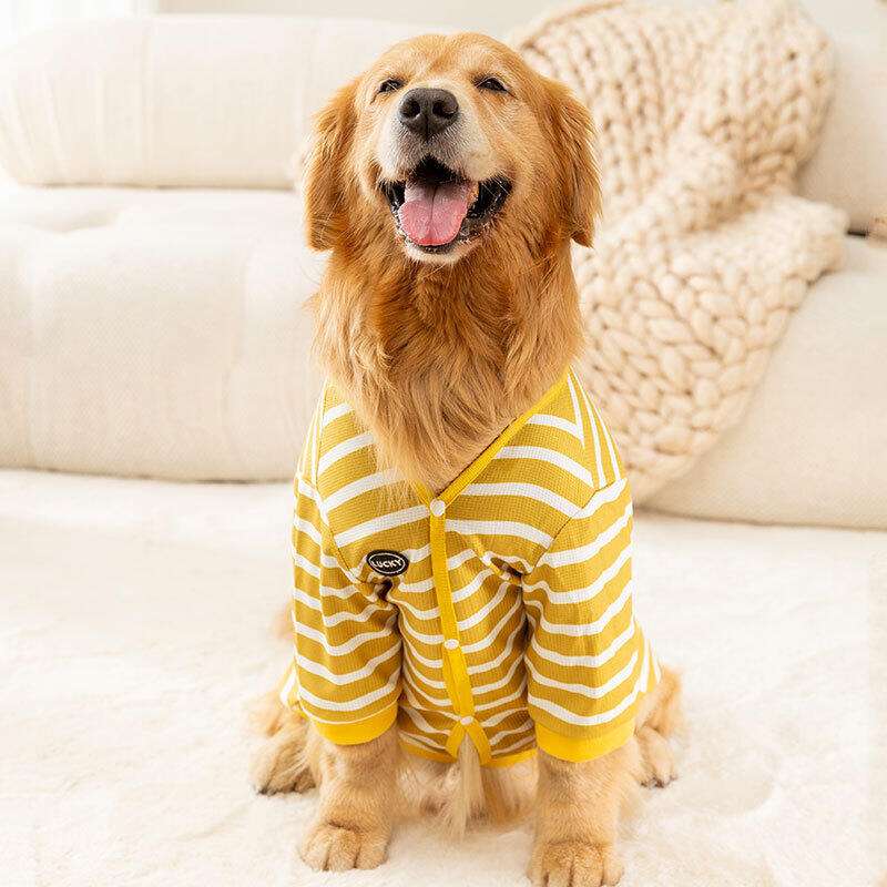 犬服 大型犬用シンプルボーダーTシャツ