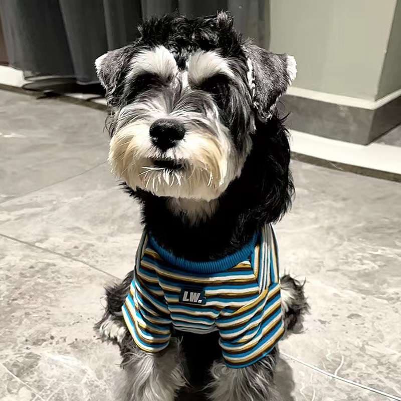 犬服 ボーダー柄の快適ドッグウェア