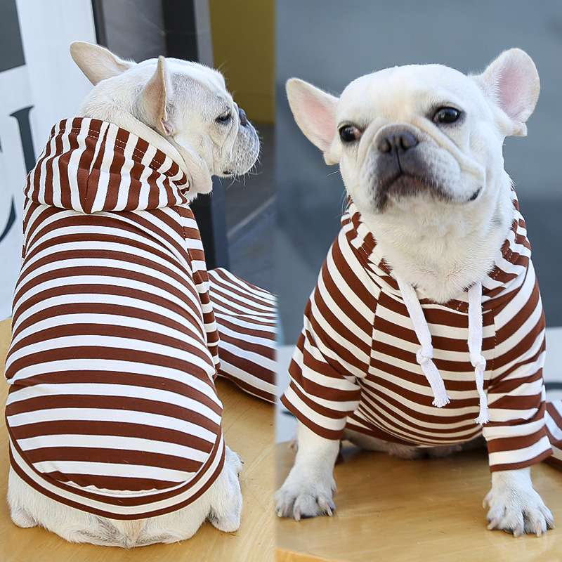 パーカー風ボーダー柄犬服