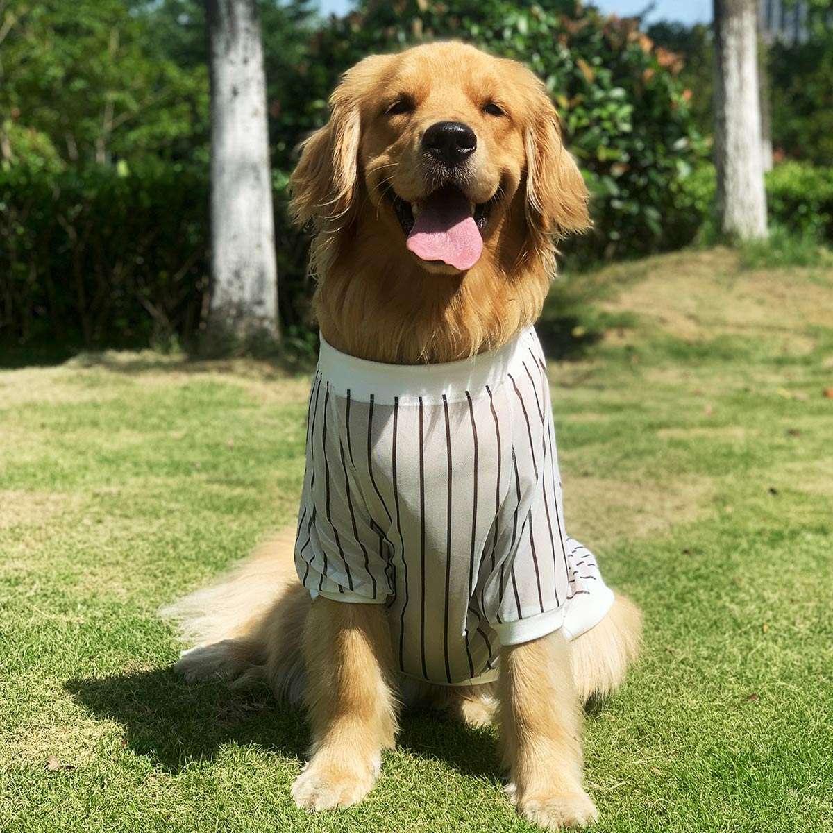 犬服 大型犬用ストライプシャツ
