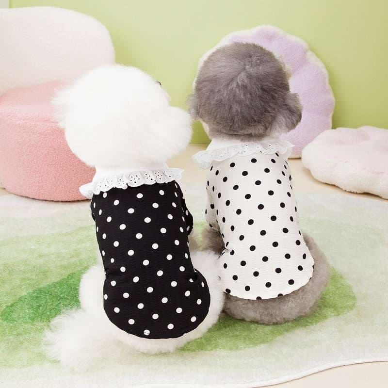犬服 ふんわりドット柄フリルワンピース