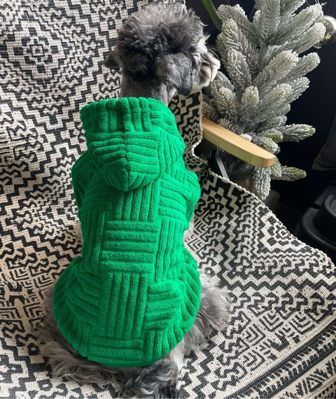 モコモコ素材のセーター型犬服