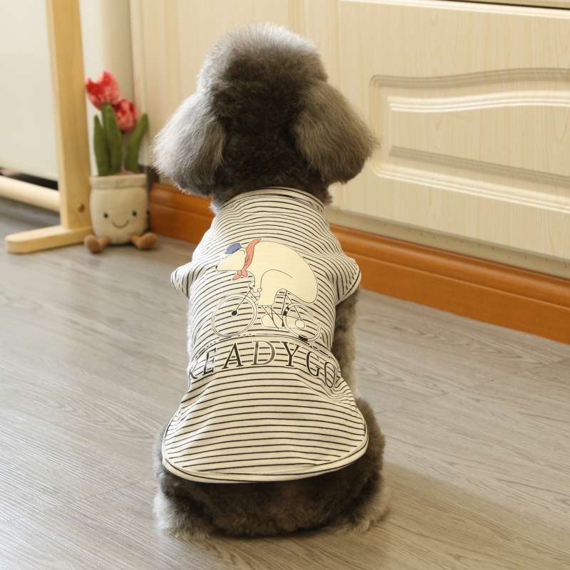 犬服 お散歩準備OK!わんちゃんTシャツ