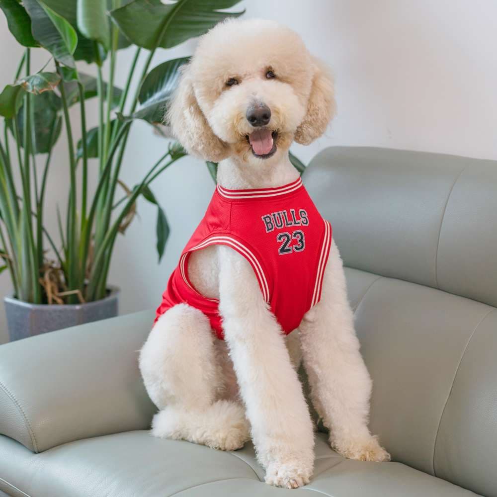犬服 NBA風バスケユニフォーム犬用タンクトップ