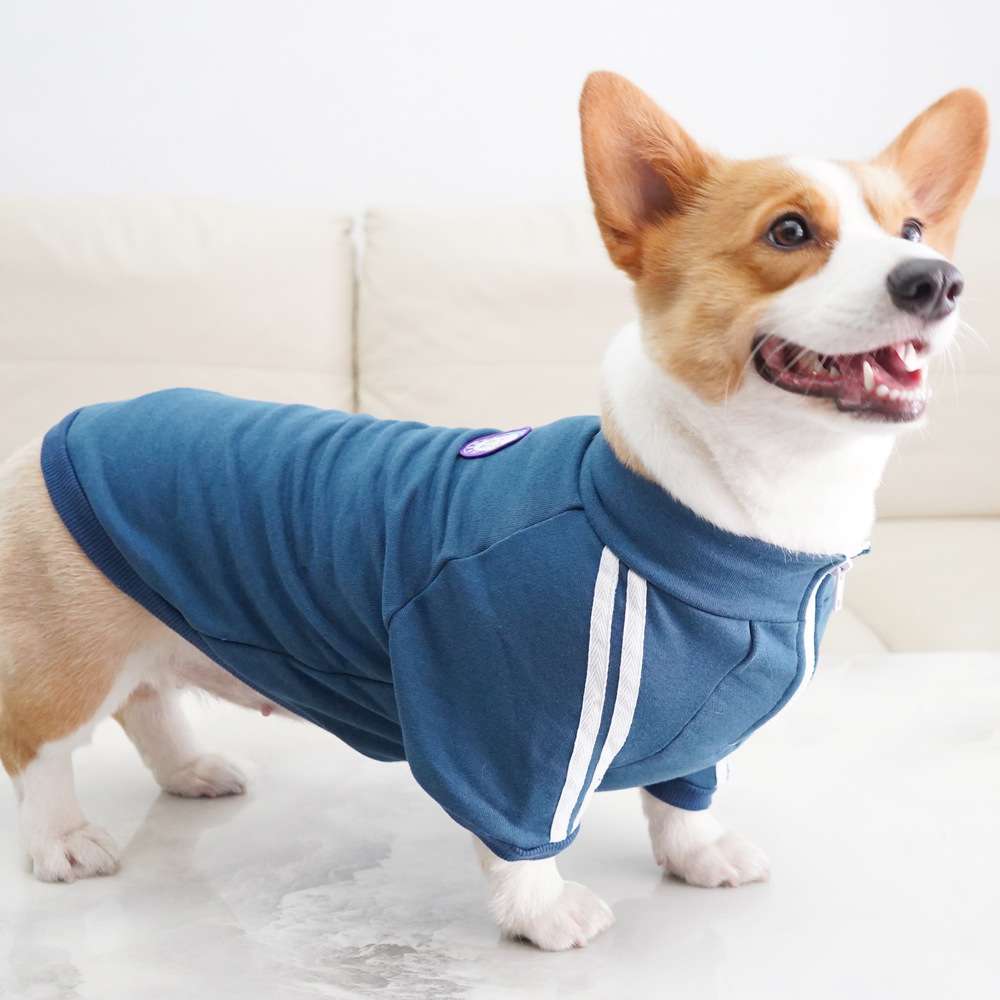 犬服 スポーティーな中型犬用ジャージ