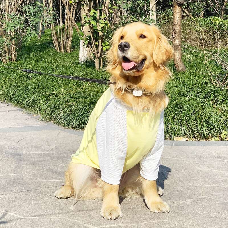 犬服 涼感メッシュ生地の大型犬用Tシャツ