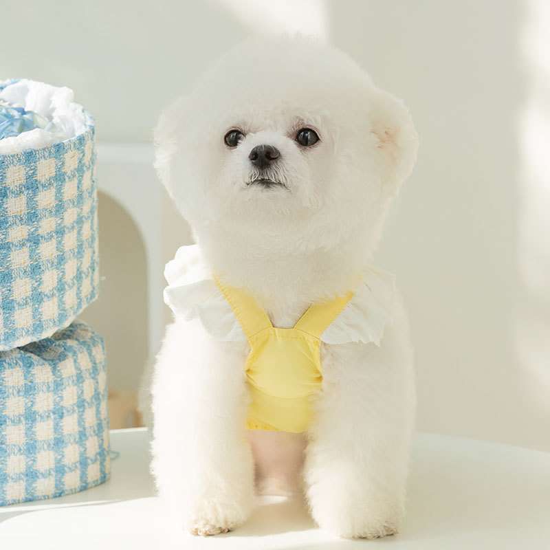 犬服 ふわもこわんちゃんのお姫様ドレス
