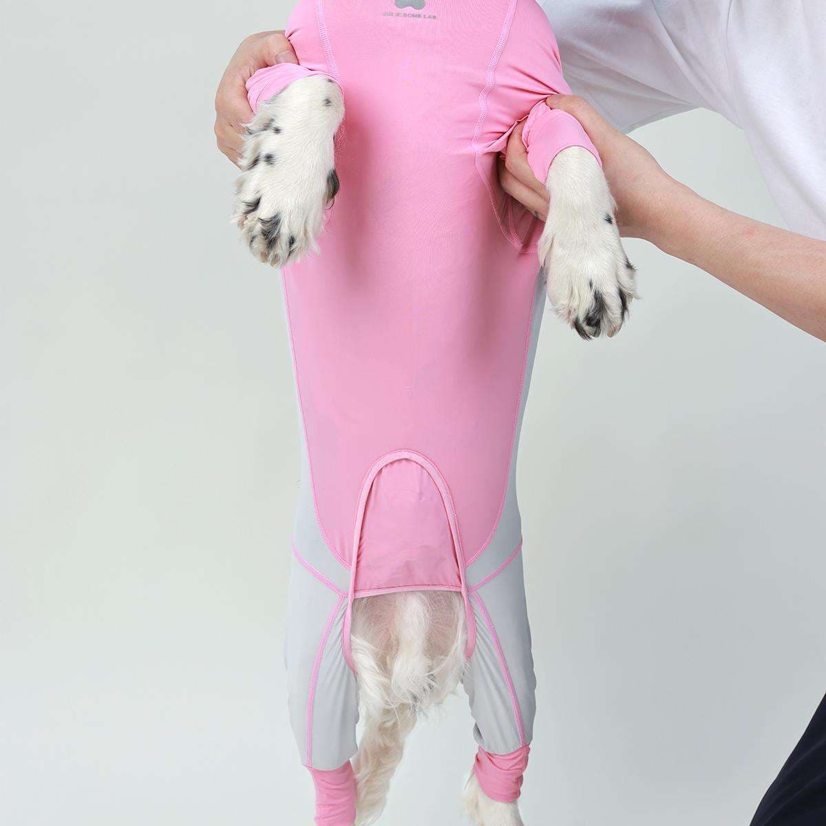 犬服 もこもこワンちゃん専用スポーツウェア