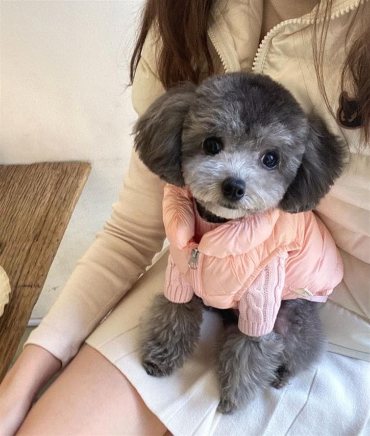 犬服 ふわもこダウンベスト