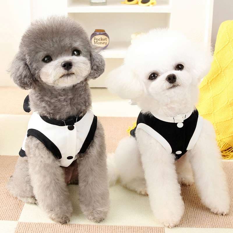 犬服 クマさん犬用タンクトップ