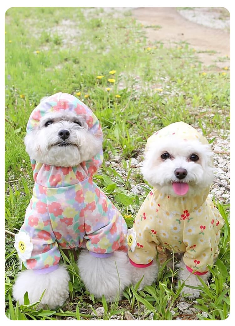 犬服 お花畑フードパーカー涼感