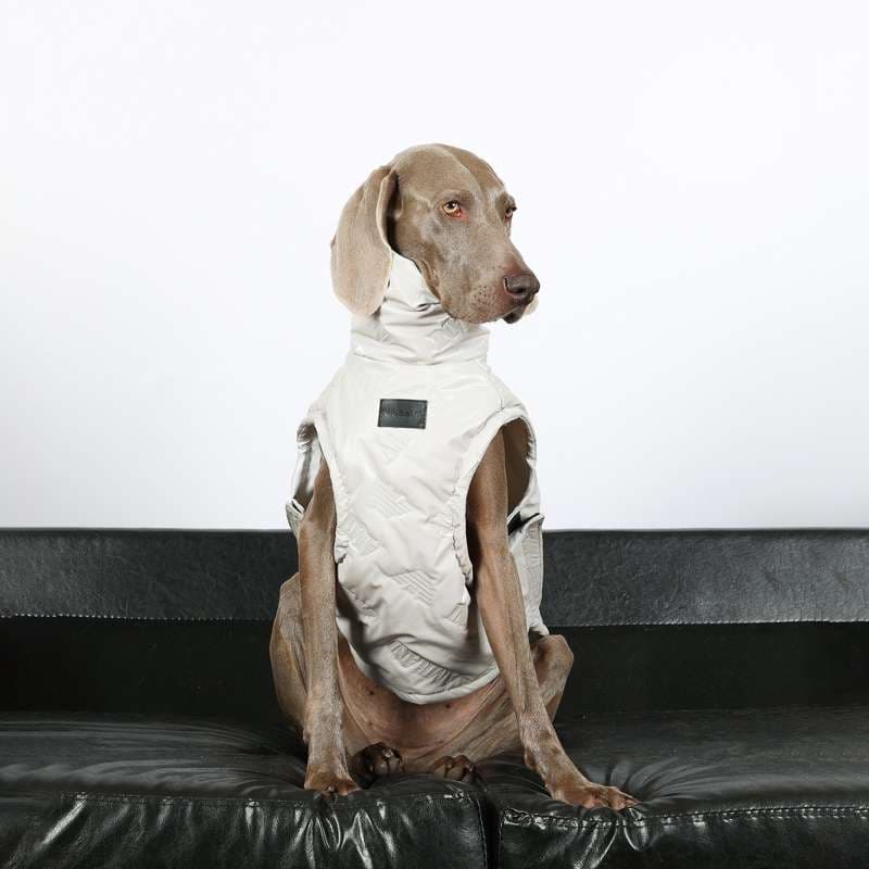 犬服 大型犬用スタイリッシュベスト
